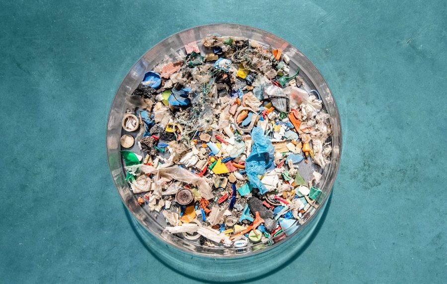 Plastic found in the stomach of a single sea turtle