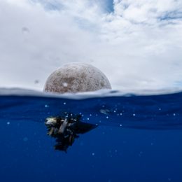 Plastic item floating in water