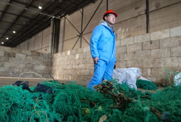 Ocean plastic being sorted