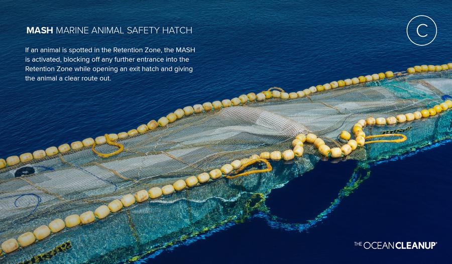 The Marine Animal Safety Hatch (MASH)