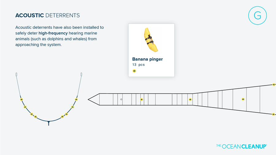 Acoustic deterrents are installed to safely deter high-frequency hearing animals